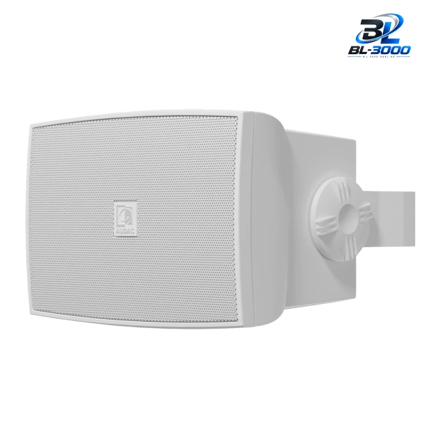 Enceinte murale de puissance 8', 2 voies 70 W / 16 ohms