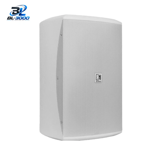 Haut parleur large bande 2 voies 8' 120 W
