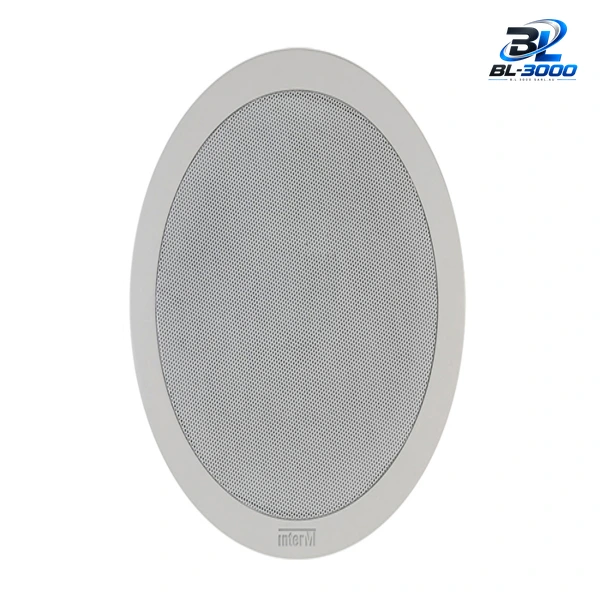 Haut-parleurs de plafond 30w