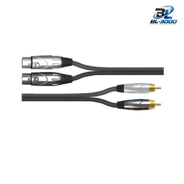 Câble  2 XLR Femelle vers RCA male