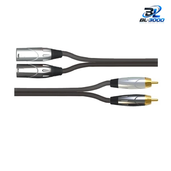 Câble  2 XLR male vers RCA male